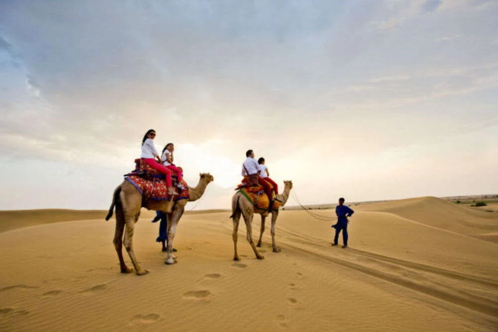 Guests riding camels across the dunes at sunset